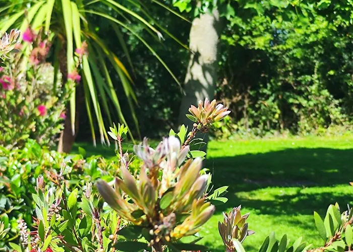 Le Sherman Penzion 3*